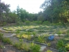 Brazil - Little Temple garden