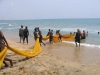 sea4